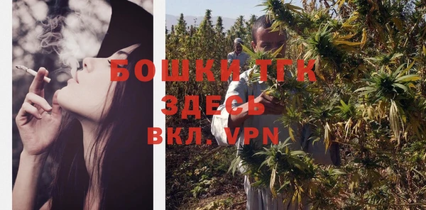 твердый Володарск