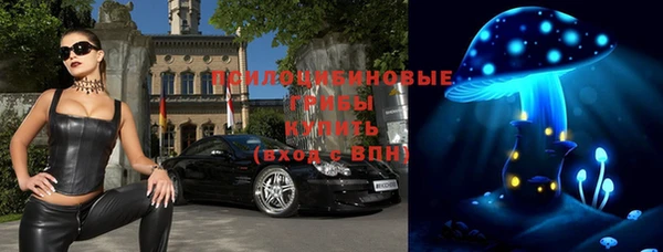 твердый Володарск