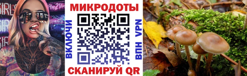 Галлюциногенные грибы GOLDEN TEACHER  продажа наркотиков  блэк спрут сайт  Ядрин 